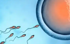 2026年兴义人民医院未婚试管婴儿费用清单公布