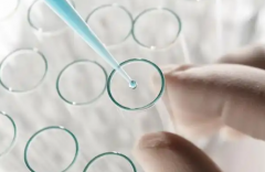 武汉市中西医结合医院三代试管攻略：单身适用性、费用及成功率一览