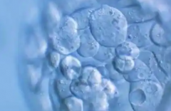 湖南长沙三代试管从开始到结束费用大概要多少钱