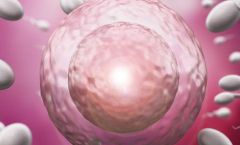 2026年浙江第三代试管婴儿一次费用大概多少钱，准备10万是否充足