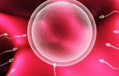 西安市人民医院试管婴儿费用大约多少？附单身试管助孕价格表