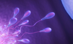 2026年未婚人士可以在西北妇女儿童医院做试管婴儿吗？