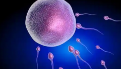 2026年宜昌一医单身试管助孕费用完整清单