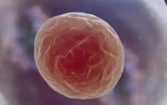 2026年天门市第一人民医院单身试管助孕费用完整清单