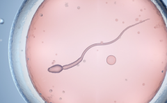 国内三代试管婴儿助孕全程费用大致多少？附试管收费项目明细