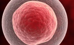 天津单身女性在天津中医药大学第一附属医院做试管婴儿成功率有多高