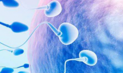 国外三代试管助孕费用全面介绍，看看要多少钱？