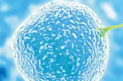 2026年广东广州试管婴儿费用详情：第三代技术各阶段费用真实披露