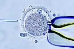 2026年广西南宁市试管婴儿三代手术费用全公开，官方价格明细表曝光