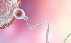 南部战区总医院单身人士试管婴儿成功几率大吗？