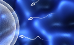 2026年单身群体在深圳二院做试管的条件与步骤一览