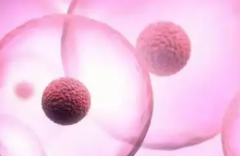 海南三亚市做三代试管助孕要花多少钱，费用明细一览