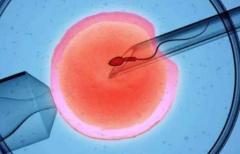 国内三代试管助孕费用明细大公开：价格清单清晰可见，预算更省心