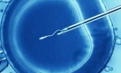 2026年长春第三代试管费用明细表：8万至15万预算安排+医保报销技巧