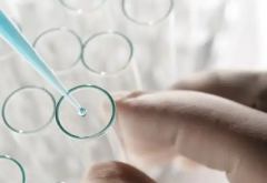 2026年单身女性在成都医学院第一附属医院能做试管婴儿吗？