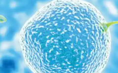 南京市做三代试管2026年费用多少钱？10万至18万元，费用明细全公开