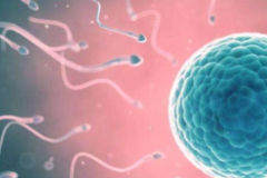 2026年沈阳单身去辽宁中医药大学附属医院做试管成功率高吗？怀上几率