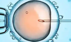 内蒙古民族大学附属医院试管助孕需结婚证吗？单身未婚人群申请条件