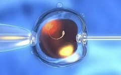 2026年未婚去兰州940医院做试管的总费用要多少？