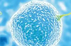 河南省郑州第三代试管婴儿助孕费用全知道，助力备孕少走弯路