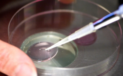 长春第三代试管助孕费用全知道，详细费用清单一看就懂