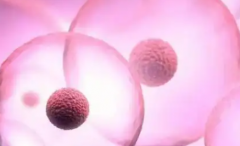 福建福州三代试管助孕费用全解析，附详细价格清单