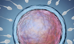 广东试管助孕大概需要多少费用，广东省专业助孕机构费用大约8到12万