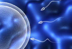 泰国三代试管怀孕成功大概需要花多少钱？通常8万到12万