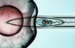 贵阳三代试管婴儿助孕费用详情，医院收费项目一览