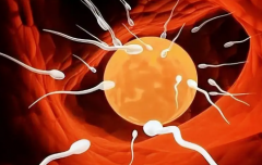 江苏省南京市三代试管婴儿助孕费用明细表，帮你合理规划费用预算