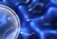 2026年阳江市人民医院单身做试管婴儿收费一览表