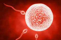 天津做三代试管婴儿需要多少费用？各项开支明细全公开