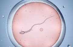 2026年泰国第三代试管助孕费用汇总表