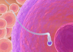 南阳市第一人民医院未婚试管成功率真实数据是多少？