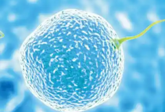 2026年单身女性去云南私立九洲医院做试管生孩子贵吗？完整费用可参考