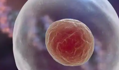 2026重庆三代试管助孕最新报价：8万到15万，具体费用明细曝光