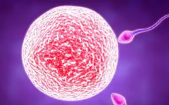 2026年河南试管助孕机构前十强名单公布，一次性看完医院介绍