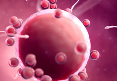 河北唐山做第三代试管婴儿费用是多少？2026试管助孕花费明细