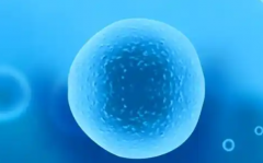 杭州三代试管婴儿花费全解析：明细与总览