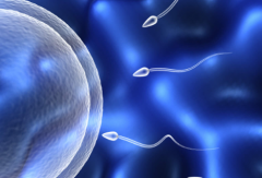 2026陕西省西安三代试管费用全揭秘，备孕家庭必备助孕攻略