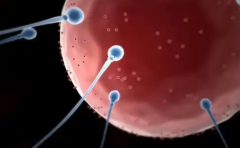 国外三代试管助孕费用揭秘，生孩子大概要花多少？