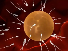 青岛市妇女儿童医院三代试管攻略：单身适用性、费用及成功率一览