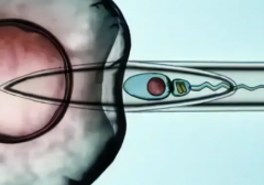 未婚女性去楚雄人民医院做三代试管可行吗？成功几率高吗？