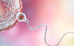 2026哈尔滨市三代试管婴儿具体花费标准公布