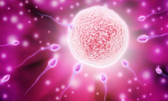 2026郑州三代试管婴儿费用一览，从前期检查到胚胎移植总花销