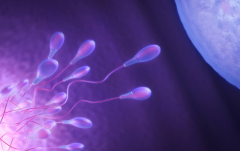 2026年未婚想做试管婴儿怎么办？亳州市人民医院可以操作吗？