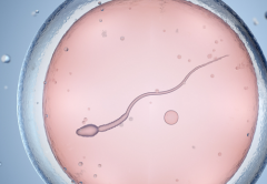 襄阳第三代试管婴儿费用大约多少，2026年助孕全流程费用清单一览