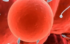 2026年兰州市第三代试管婴儿费用清单，各项花销全知道