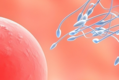 昆明做第三代试管婴儿助孕大概花多少钱