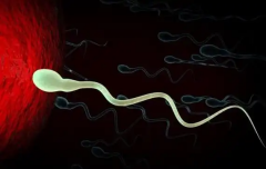 2026年在泰国做三代试管价格是多少，附费用和成功率一览